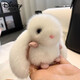 Disney Plush Rabbit Bag Bag Sendation Imation Mink Hair Car Accessories Accessories Подвеска милая кукла Женский подарок Grey [плюс кулон кролика] Friendy Friendy Feel
