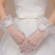 SHANGGE Bridal Wedding Gloves Short Wedding Dress Lace Gloves Butterfly Wedding Gowns High Stretch Dress Performance Champagne Color