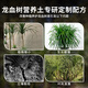 Shangyang dragon blood tree special nutrient soil 8L gardening vegetable and flower soil green plant planting granular soil organic soil
