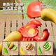 Xinshite (XST) Fruchtschnitt Le schaltbar geschnitten Durian Simulation Küchenspielzeug Dine Cooking Girls Spielzeug Geburtstagsgeschenk