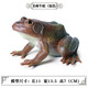 Oenux Simulation cognitive grenouille jouet solide enfant de poupée pour enfants Small Ornaments Bullfrog Frog Frog Bullfrog Frog Toad 1429 Africain Reed Frog