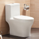 Juego de baño Huida ducha de baño set de dos piezas Jet Siphon Tresfunción Juego de cabezal de ducha 6189 Inodoro + 5510 Ducha 305 mm Fábrica de fábrica directa de fábrica