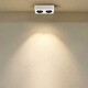 Renjuyi Lámpara de joya ultra delgada personalizada Sala de estar de cuatro cabezas de cuatro cabezas Anti-Glare Principal Lámpara cuadrada de la glándula de la glándula del frijol de doble cabeza blanca y negra 12w9898 Baja 4000K Light Laifude Fuelle de alimentación