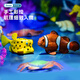 乐蓓富仿真海洋动物模型玩具海底世界生物鲨鱼海豚生日六一儿童节礼物