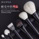 AOLANLA Master Ink Shadow 13 Makeup Brush Set Foundation Eyeshadow Brush Beauty Tools Gift Box Christmas Gift for Wife