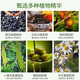 馥珮洗发水去屑清爽蓬松洗发露女改善发丝柔顺洗头膏洗发液国货家庭装 1kg橄榄去屑柔滑洗发露