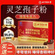 
Beijing Tongrentang Break Wall Ganoderma lucidum spore powder genuine official Changbaishan Immunity Enhancement Robe Powder One box 20g + Gift Bag x1