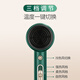 AUX Hair Dryer Home Negative Ions Will Not Damage Hair 1800W High Power High Wind Hair Dryer Dormitory Use Low Power Mini Portable Hair Dryer AH7800 Emerald Negative Ion Hair Care 1800W