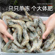 North Bay Shrimp Qingdao Prawn Fresh Frozen Base Shrimp Shrimp Seafood Water Produced Fresh White Shrimp Green Prawn Sea Shrimp Prawn Salt Frozen Prawn 3.3Jin Jin equal to 0.5kg (net weight) 16-18cm single frozen extra large shrimp