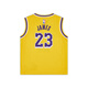 耐克（NIKE）官方男童洛杉矶湖人队ICON NBA詹姆斯婴童球衣宝宝HF7717 728阿马里洛黄 110 4T