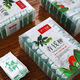 Auténtico agua-shui silvestre alpino dinero verde sauce oro y dinero sauce hojas tiernas gránulos cajilla de regalo de hierbas chinas