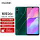 Huawei genießt 20E 4G Full Netzwerk Mobiltelefon 5000mAh Large Batterie 6,3-Zoll High Definition großer Bildschirm 6 GB+128 GB Qijing Forest Dual Sim Dual Standby