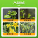 Zheng's Chemical 98% Sodium Nitrophenolate Original Powder Plant Growth Regulator Preserving Flower Fruit Pesticide Synergism to Promote Growth 1kg