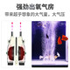 
Fish tank oxygen pump small household aerobic pump fish aerobic machine aquarium oxygen pump oxygen pump oxygen-burning oxygen 12W double-hole package [gas plate] A848-2
