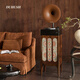 Duhuanshi professional-grade vinyl record player retro new Chinese style B&B club HiFi gramophone Bluetooth audio integrated record player walnut color + brown speaker