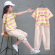 
Aino Round Girls Sports Set Medium-Grand Children's Summer Children's Short Sleeve Sweater Thin Casual Pants Two-Piece Clothes Blue Room Pink 160 Recommended height about 145-155CM