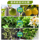 Stanley Stanley Compound Fertilizer Universal Vegetable Agricultural Flower Fertilizer Planting Vegetables Organic Fertilizer Green Plant Potted Nitrogen Phosphorus Potassium Fertilizer Universal Compound Fertilizer 3Jin Jin is equal to 0.5 kg