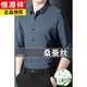 Hengyuanxiang Mulberry Silk High-End-Herrenhemd-Hemd Frühlings- und Sommerstil Traaceless und Eisenfreies Geschäft Casual Atemable Hemd bequem und vielseitig 9926 Modell-Dark Green XL 175 [Empfohlen 135-150jin [Jin Equals Equals Gorm 0,5 kg]]