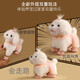 Mimiworld gourmand mignon animal de compagnie de pique-nique boîte de compagnie de compagnie de simulation de simulation maison fille jouet cadeau d'anniversaire chien maltais [habillage / corde de tirage peut courir]