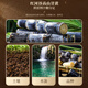 福东海 当归龙眼红枣枸杞姜母红糖500克云南手工黑糖生理期老红糖姜茶