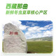 圣迪康藏2025年西藏那曲野生头茬新鲜冬虫夏草滋补品礼品 【顺丰空运】 0.8克/根  10根装