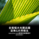 Sony (SONY)FE 135mm F1.8 GM Full-frame Large Aperture Telephoto Focus G Master Lens (SEL135F18GM)