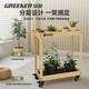 GREENER GREENER trolley tool cart multi-functional mobile cafe home iron green plant rack storage rack double-layer trolley Somano Green