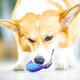 GiGwi Dog Toy Ball Sound Pet Corgi Teddy Medium Dog Molars Resistant Bite G-Ball Olive Medium Transparent