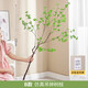 Flower e flow Nordic wind horse drunken wood simulation green plant Japanese hanging clock plant decoration fake tree indoor living room floor-standing potted ornaments B model simulation hanging clock branches