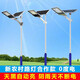 Xinguangda Solar Street Lights Outdoor Street Light Pole Complete Set New Rural Telephone Pole High Power Solar Lighting 6 Meters Solar 4 Meters 100 Watt Complete Set