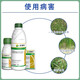 Syngenta Jinduerzhen metolachlor annual grass weed broadleaf weed herbicide pesticide 1L