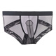 Confidential delivery sexy underwear men's thong men's underwear sexy fully transparent T pants passion red