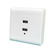 People's Electrical Appliances USB Socket Panel Specifications Two-digit USB Unit