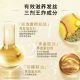 欧莱雅奇焕垂顺精油洗发水大金瓶洗发露660ml(柔顺无硅油)