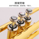 Jinbao Professional Trompete JBTR-050 Anfänger Spielstufe Kinder Erwachsener B-Roil Paint Gold Trompete Instrument