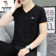 
Woodpecker (TUCANO) Odell Cotton Summer V-neck Short-sleeved T-shirt Men's Trendy Base Shirt Half-sleeved Slim Body Shirt Pure Cotton Casual Clothes Q691 Light Gray 4XL [Suggested 170-190Jin [Jin equals 0.5 kg]]