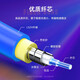 Shanze Telecom Grade Greeored Single-Mode Single-Core-Faser-Schweinefaser-Faser-LC-LC-Halogen-frei-freie konesistante kompressive Anti-RAT-Glasfaser-Kabel-Panzer FC-FC (Single-Mode Single-Core) 1 Meter