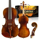 Christina importierte europäische Geige S300B Begrenzung Performance Grade handgefertigtes Massivholz Erwachsener Schülerinstrument 3/4