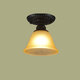 Yilin European style single-head small ceiling lamp balcony aisle entrance lamp kitchen and bathroom lamp cloakroom lamp iron ceiling LED lamp flower bud ceiling free 12 watt corn