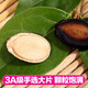 
Zhenglin melon seeds watermelon seeds large slices of five-spice licorice salty black melon seeds office casual snacks new year's goods fresh roasted 3A watermelon seeds 688g bucket 688g 1 can