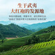 华祥苑茶叶自己喝大红袍武夷岩茶乌龙茶自饮茶罐装礼品礼物送礼 【必囤】两罐装500g