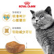 Royal cat food British short adult cat food BS34 general food 12 months and above 2KG