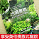Genuine water garden scenery home water landscape courtyard design and construction (garden elements) Private home garden pool, fountain, water drop, container pond 97875170**681