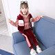 Mipaika cute three-piece children's clothing girls suit autumn and winter clothing children's little girl fashion velvet thickened sweatshirt vest pants trendy gray 110 size recommended height of about 1 meter