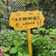 Anticorrosive wood vertical sign, care for flowers and plants sign, greening custom sign, lawn sign, warning sign, insert A18X35CM pole length 65cm