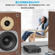 FOSI Audio Audio TB10D Digitalverstärker Fieber-Ebene Heckverstärker HiFi-Stromverstärker HiFi-Lautsprecher Professionell verkabelt Hochleistungsgeräte für den Hausgebrauch Schwarz [32 V/5A-Stromadapter]