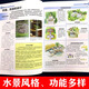 Genuine water garden scenery home water landscape courtyard design and construction (garden elements) Private home garden pool, fountain, water drop, container pond 97875170**681