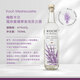 梅斯卡尔龙舌兰洋酒 tequila龙舌兰酒调酒基酒 蔻赤麦德翠舍龙舌兰酒 750mL 1瓶