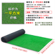 Hanoufei fire-proof simulated lawn sunroom insulated artificial turf noise reduction artificial turf plastic fake lawn enclosure 3 cm thickened 2 meters wide 1 piece 1 meter long
