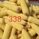 Waxy corn seeds Northeast old variety yellow sticky corn seeds - Kennian No. 1 sweet and soft waxy grains with large skin and thin skin sweet and glutinous 338 original factory original 100 grams